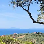 Dolce Basilico