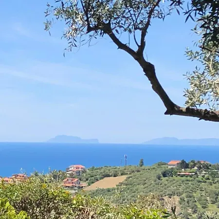 Dolce Basilico